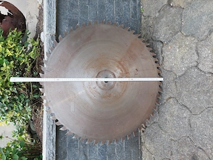 Kreissägenblatt