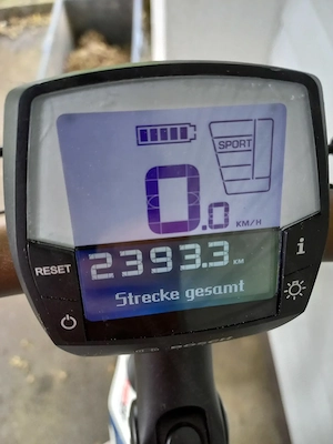 E-Bike Pegasus Premio Evo 10 Bild 5
