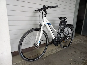 E-Bike Pegasus Premio Evo 10 Bild 2