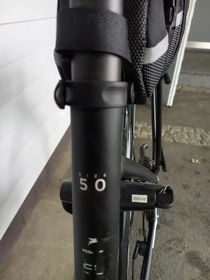 E-Bike Pegasus Premio Evo 10 Bild 4