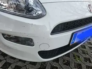 Fiat Punto Bild 6