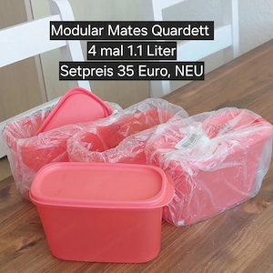 Modular Mates Tupperware NEU