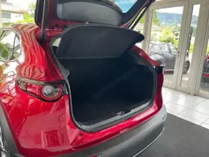 Mazda CX-30 Bild 13