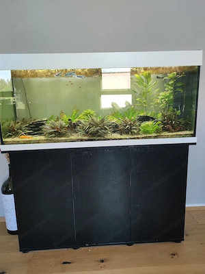 240 Liter Aquarium  Bild 2
