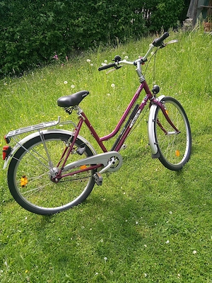 Simplon Alpin, 26 Zoll, Damenfahrrad, 7-Gang Nabenschaltung, 