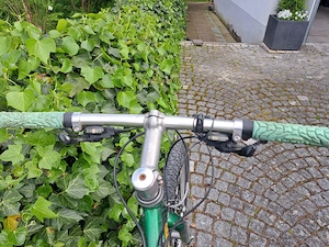 Bianchi Mountainbike Bild 3