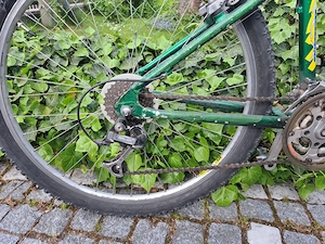 Bianchi Mountainbike Bild 4