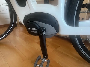 Simplon Chenoa E-Bike | Carbon | Bosch Active Line Plus | Top Zustand Bild 2
