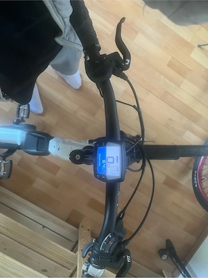 Simplon Chenoa E-Bike | Carbon | Bosch Active Line Plus | Top Zustand Bild 5