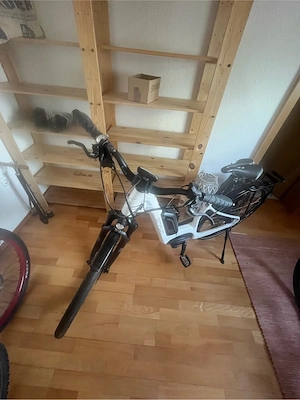 Simplon Chenoa E-Bike | Carbon | Bosch Active Line Plus | Top Zustand Bild 3