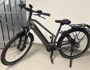 Elektrische Fahrrad