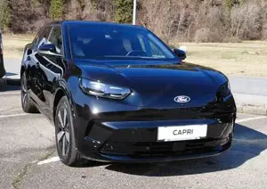 Ford Andere