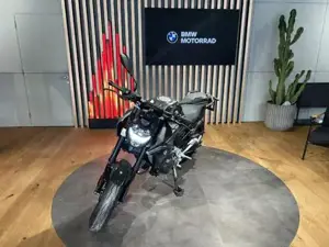 BMW F 900 R  Bild 4