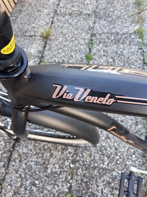 Herren Fahrrad Retro Bild 2