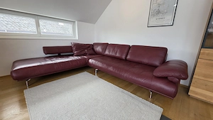 Exklusives Designer-Ledersofa DIETER KNOLL Bild 2
