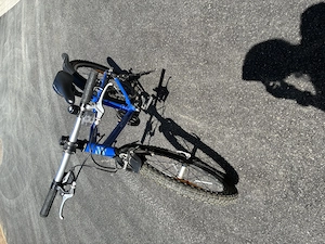 Kinderfahrrad 20 Zoll Bild 2
