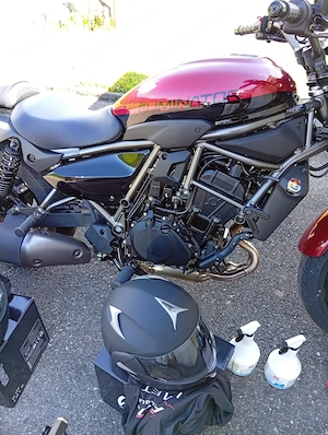 Kawasaki 1 1 2 Monate alt, 22 % unter NP Bild 3