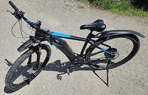 Cube Reaction Race 29 E-MTB - Bosch Performance CX - PowerPack 500 - Sehr guter Zustand