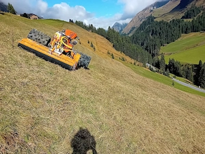 Mäharbeiten  Bild 2