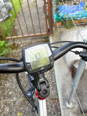 Sinus E-Citybike Tiefeinstieg mit Gepäckskorb Bild 2