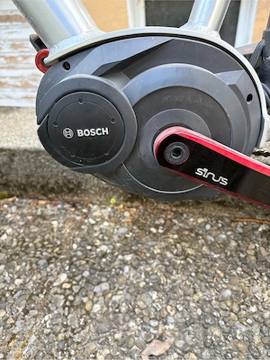 Sinus E-Citybike Tiefeinstieg mit Gepäckskorb Bild 4