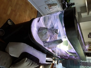 Aquarium  Raumteiler  Bild 2