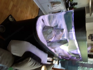 Aquarium  Raumteiler  Bild 3