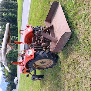 Steyr 188 Bj. 1964 Bild 3