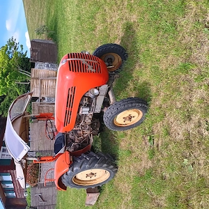Steyr 188 Bj. 1964