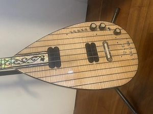 Elektro saz baglama  Bild 3