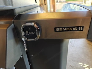 Weber Genesis II E-310   Top Zustand inkl. Abdeckhaube Bild 3