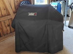 Weber Genesis II E-310   Top Zustand inkl. Abdeckhaube Bild 5