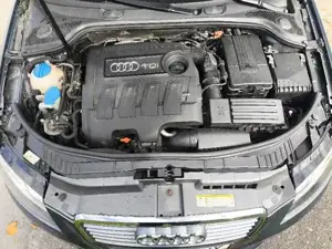 Audi A3 Bild 5