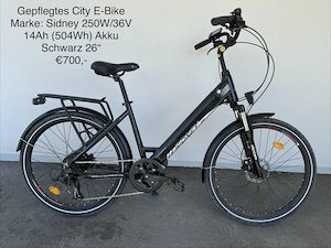 Gepflegtes City E-Bike