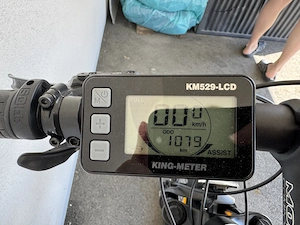 Gepflegtes Omega E-Bike Bild 2