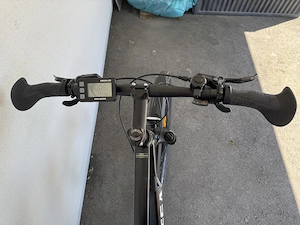 Gepflegtes Omega E-Bike Bild 3