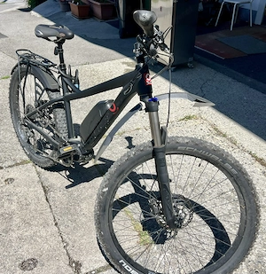 eMountainbike "Kraftstoff" neuwertig Bild 3