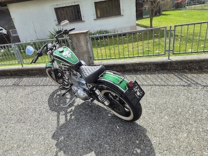 Harley Davidson 883 Bild 3