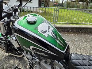 Harley Davidson 883 Bild 4