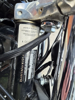 Harley Davidson 883 Bild 9