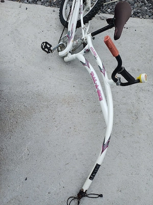 Tandem Fahrradanhänger  Bild 4