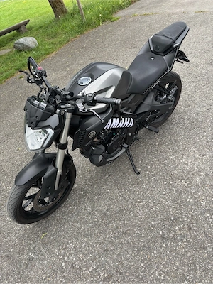 Yamaha MT-125 (2014)  Bild 4