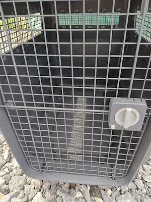 XL Hundebox  Bild 4