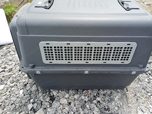 XL Hundebox  Bild 3