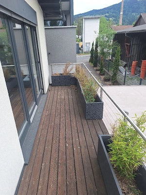 Terassenpflanzen Bild 2