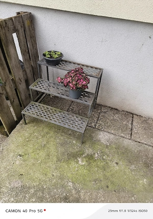 Blumen Treppe Bild 2