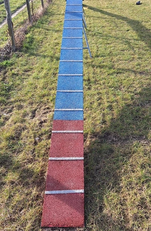 Agility Laufsteg  Bild 5