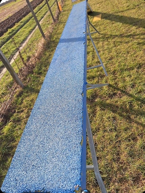 Agility Laufsteg  Bild 3