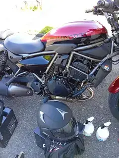 Kawasaki 1 1 2 Monate alt, 22 % unter NP Bild 3
