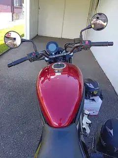 Kawasaki 1 1 2 Monate alt, 22 % unter NP Bild 5